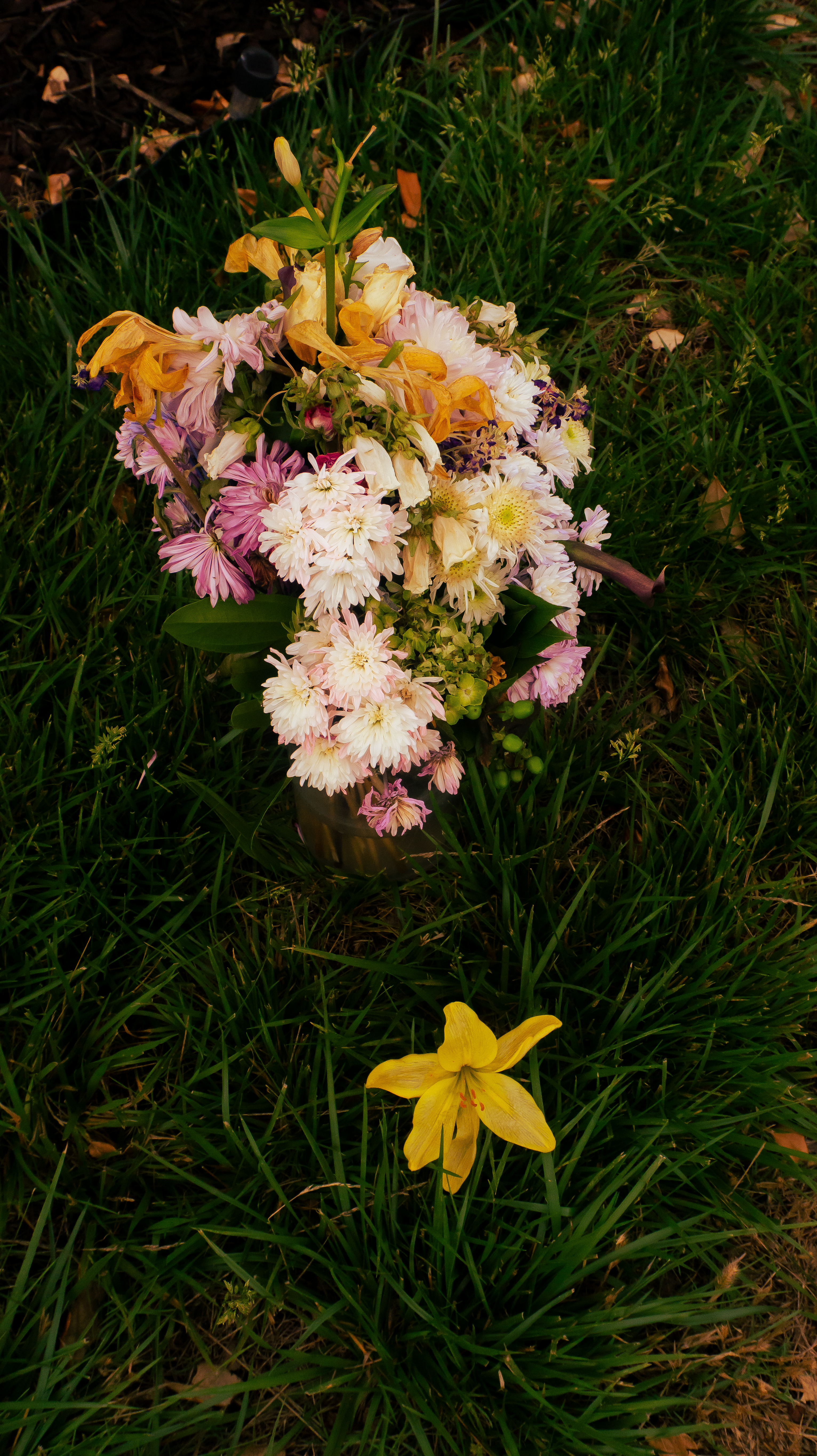 Flower Shoot
